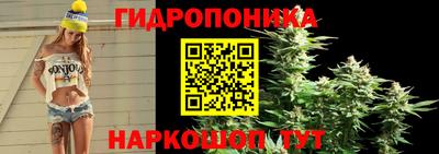 гашиш Краснознаменск