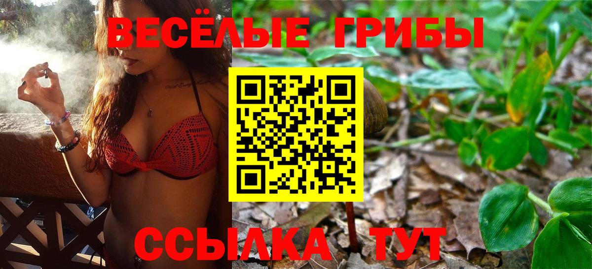 Воркута  Псилоцибиновые грибы ЛСД  Вход с VPN 