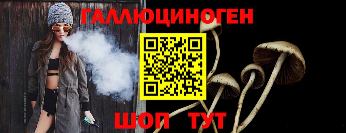 Псилоцибиновые грибы мухоморы Воркута